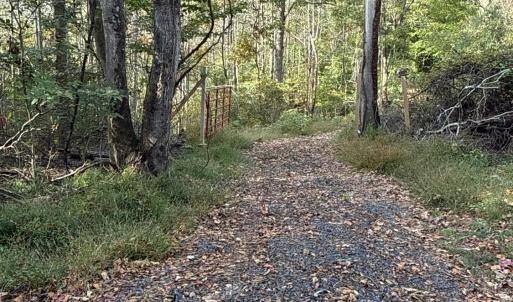 Photo #24 of 195 Ramey Hodge Drive, Martinsville, VA 11.0 acres