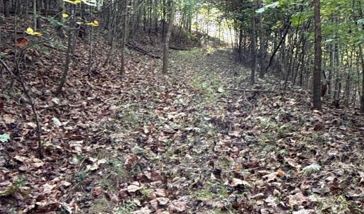 Photo #8 of 195 Ramey Hodge Drive, Martinsville, VA 11.0 acres