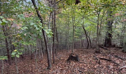 Photo #17 of 195 Ramey Hodge Drive, Martinsville, VA 11.0 acres