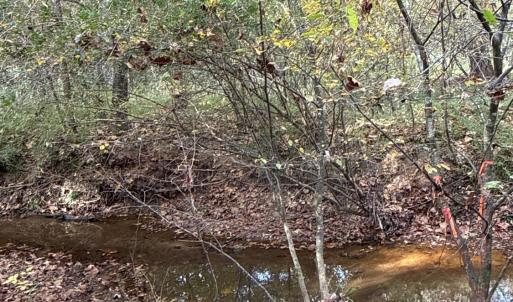 Southwest portion of tract is boarded by Mulberry Creek.