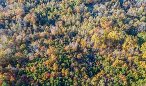 Photo #3 of 195 Ramey Hodge Drive, Martinsville, VA 11.0 acres