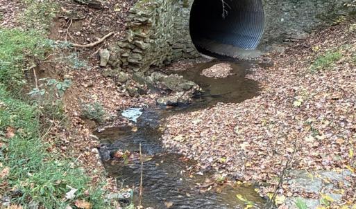 Southwest portion of tract is boarded by Mulberry Creek.