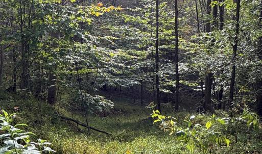 Photo #48 of 195 Ramey Hodge Drive, Martinsville, VA 11.0 acres