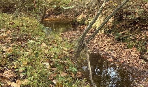 Southwest portion of tract is boarded by Mulberry Creek.