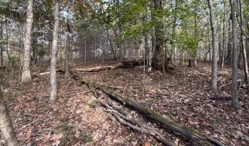 Photo #25 of 195 Ramey Hodge Drive, Martinsville, VA 11.0 acres