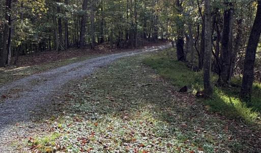 Photo #45 of 195 Ramey Hodge Drive, Martinsville, VA 11.0 acres