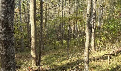 Photo #43 of 195 Ramey Hodge Drive, Martinsville, VA 11.0 acres