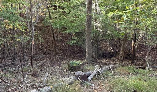 Photo #40 of 195 Ramey Hodge Drive, Martinsville, VA 11.0 acres