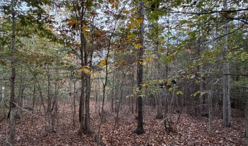 Photo #35 of 195 Ramey Hodge Drive, Martinsville, VA 11.0 acres