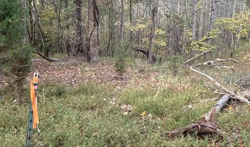 Photo #23 of 195 Ramey Hodge Drive, Martinsville, VA 11.0 acres