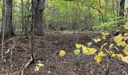 Photo #33 of 195 Ramey Hodge Drive, Martinsville, VA 11.0 acres