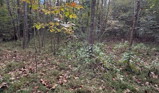 Photo #24 of 195 Ramey Hodge Drive, Martinsville, VA 11.0 acres