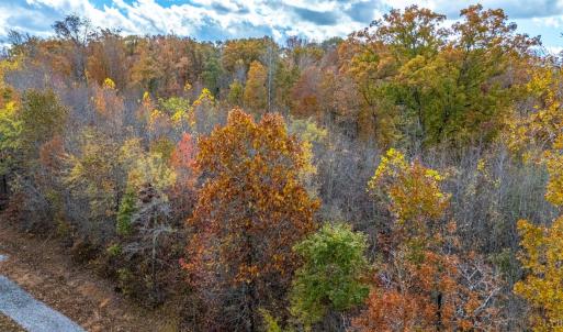 Photo #20 of Pin Oak Rd, Prospect, VA 5.0 acres