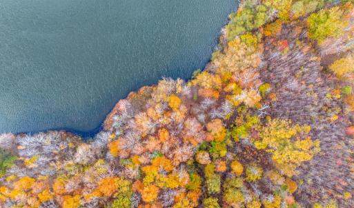 Photo #13 of Pin Oak Rd, Prospect, VA 5.0 acres