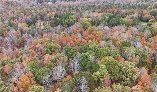 Photo #2 of Acorn Road, Nathalie, VA 17.9 acres