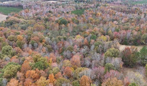 Photo #1 of Acorn Road, Nathalie, VA 17.9 acres