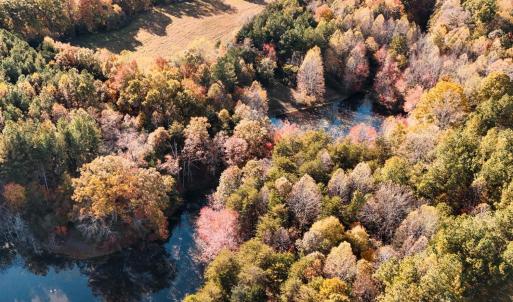 Photo #46 of 7941 Sugar Hill Road, Brookneal, VA 48.6 acres