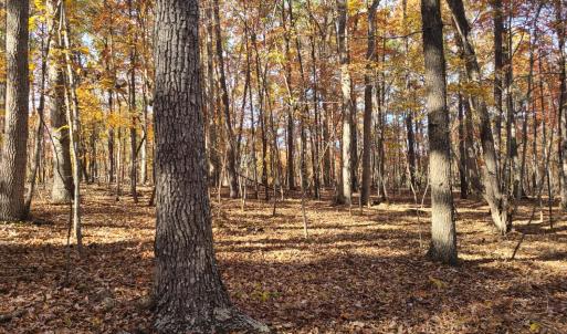 Photo #7 of Ashwell Ridge Drive, Huddleston, VA 5.7 acres