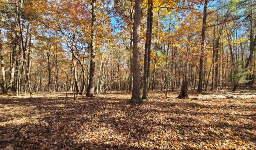 Photo #10 of Ashwell Ridge Drive, Huddleston, VA 5.7 acres