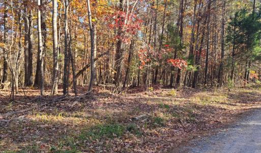 Photo #11 of Ashwell Ridge Drive, Huddleston, VA 5.7 acres