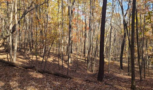 Photo #6 of Ashwell Ridge Drive, Huddleston, VA 5.7 acres
