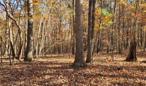 Photo #9 of Ashwell Ridge Drive, Huddleston, VA 5.7 acres