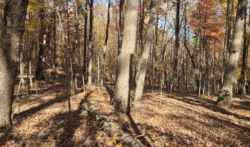 Photo #4 of Ashwell Ridge Drive, Huddleston, VA 5.7 acres