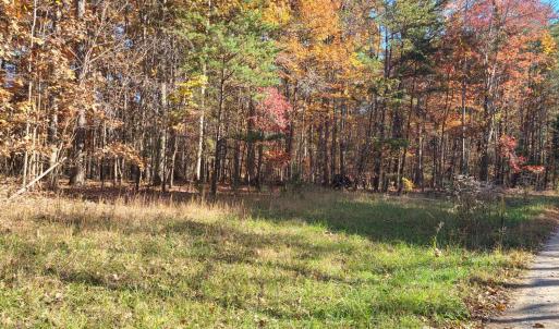 Photo #3 of Ashwell Ridge Drive, Huddleston, VA 5.7 acres