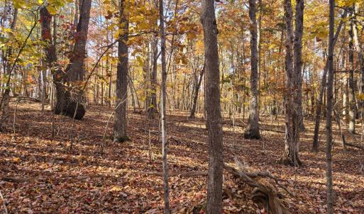 Photo #5 of Ashwell Ridge Drive, Huddleston, VA 5.7 acres