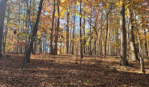 Photo #8 of Ashwell Ridge Drive, Huddleston, VA 5.7 acres