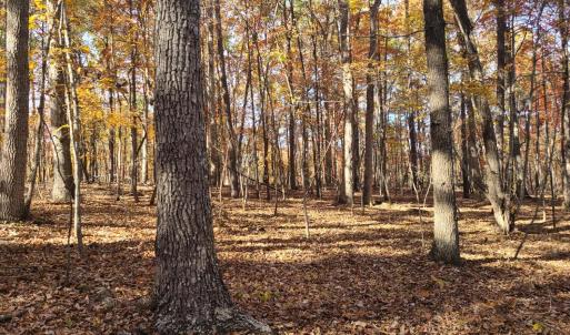 Photo #7 of Ashwell Ridge Drive, Huddleston, VA 5.7 acres