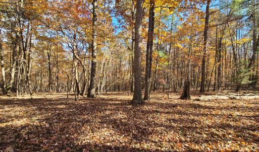 Photo #10 of Ashwell Ridge Drive, Huddleston, VA 5.7 acres