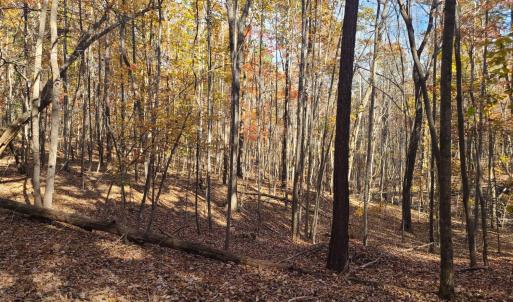 Photo #6 of Ashwell Ridge Drive, Huddleston, VA 5.7 acres