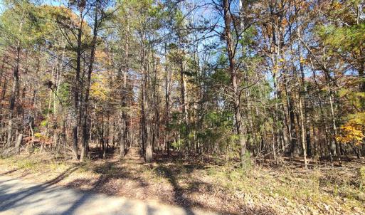 Photo #12 of Ashwell Ridge Drive, Huddleston, VA 5.7 acres