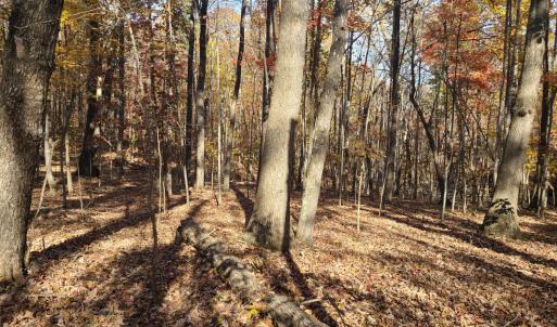 Photo #4 of Ashwell Ridge Drive, Huddleston, VA 5.7 acres