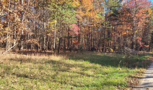 Photo #3 of Ashwell Ridge Drive, Huddleston, VA 5.7 acres