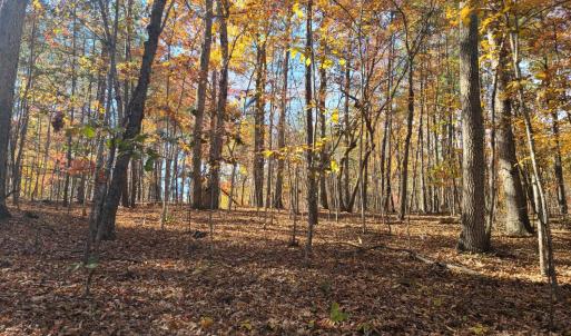 Photo #8 of Ashwell Ridge Drive, Huddleston, VA 5.7 acres