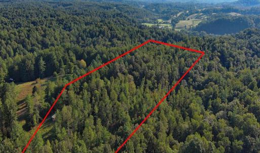 Photo #6 of VL Dancing Creek Road, Monroe, VA 30.0 acres