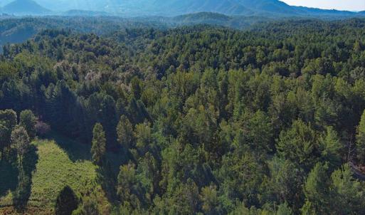 Photo #8 of VL Dancing Creek Road, Monroe, VA 30.0 acres
