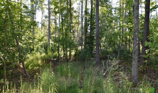 Photo #12 of VL Dancing Creek Road, Monroe, VA 30.0 acres