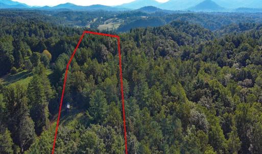 Photo #9 of VL Dancing Creek Road, Monroe, VA 30.0 acres