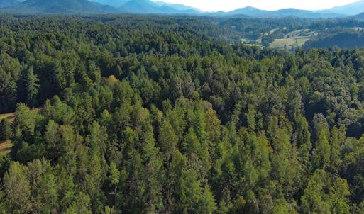 Photo #7 of VL Dancing Creek Road, Monroe, VA 30.0 acres