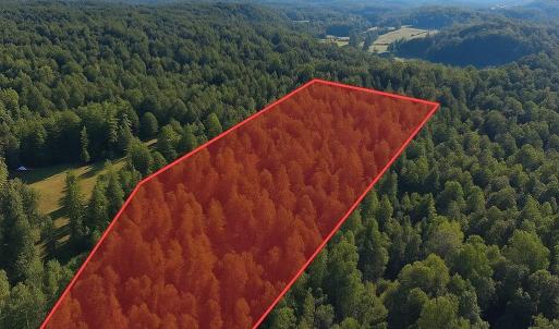 Photo #1 of VL Dancing Creek Road, Monroe, VA 30.0 acres