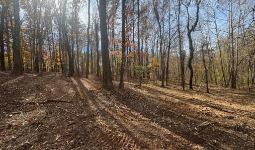 Photo #15 of 9 Dulwich Drive, Amherst, VA 19.8 acres