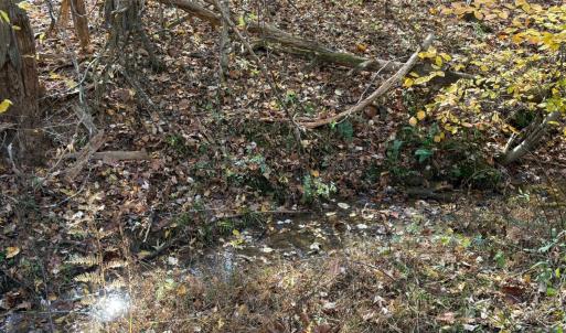 Photo #21 of 9 Dulwich Drive, Amherst, VA 19.8 acres