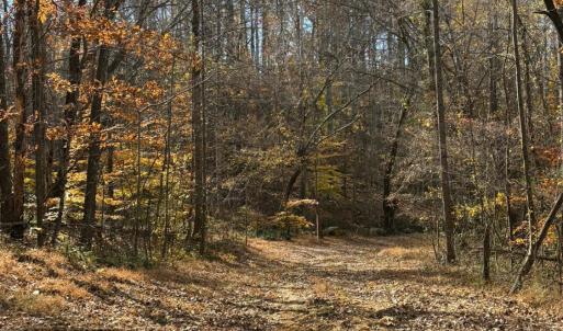 Photo #18 of 9 Dulwich Drive, Amherst, VA 19.8 acres