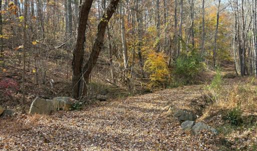 Photo #20 of 9 Dulwich Drive, Amherst, VA 19.8 acres