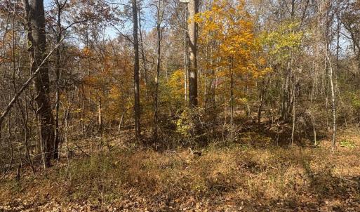 Photo #19 of 9 Dulwich Drive, Amherst, VA 19.8 acres