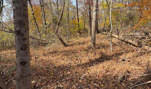 Photo #9 of 9 Dulwich Drive, Amherst, VA 19.8 acres