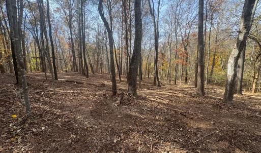 Photo #14 of 9 Dulwich Drive, Amherst, VA 19.8 acres